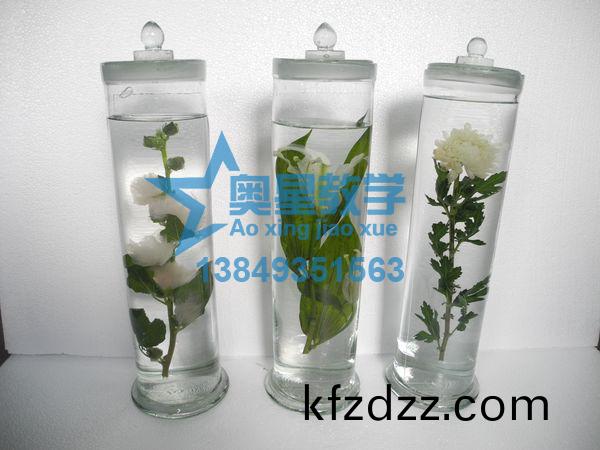 中藥標(biao)本(ben)廠傢(jia)：製作中(zhong)藥標(biao)本應該(gai)對(dui)藥材(cai)如(ru)何(he)處理？