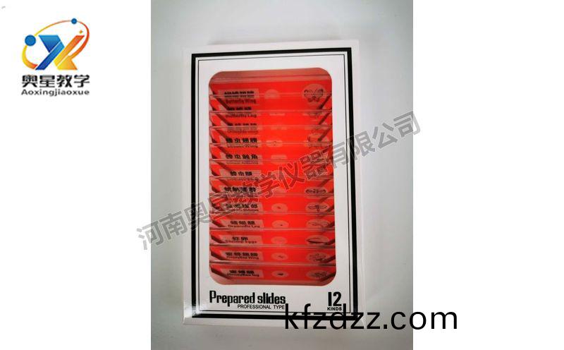 兒童塑(su)料切(qie)片(pian)