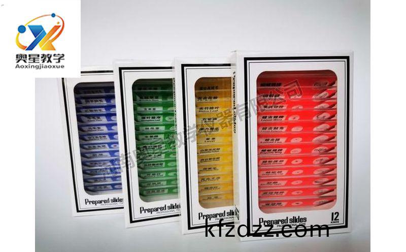 兒童塑(su)料(liao)切(qie)片(pian)