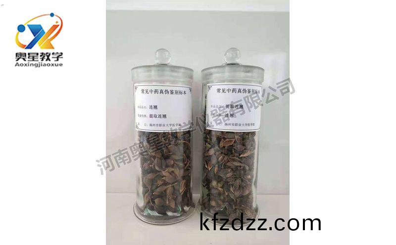 鑒(jian)彆標本(ben)