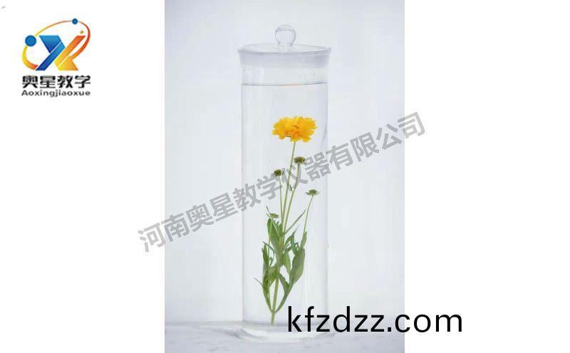 浸(jin)漬(zi)標(biao)本