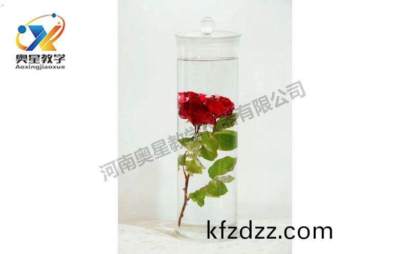 浸(jin)漬標(biao)本