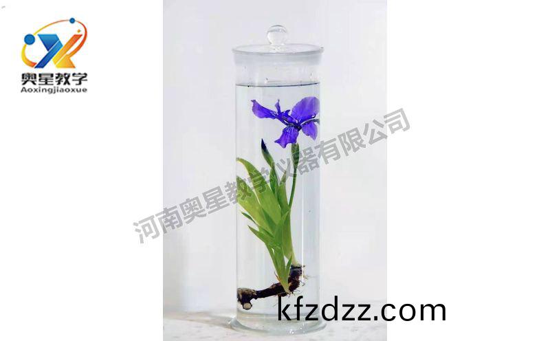 浸(jin)漬(zi)標(biao)本