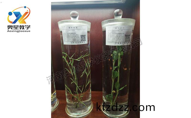 浸(jin)漬標(biao)本(ben)