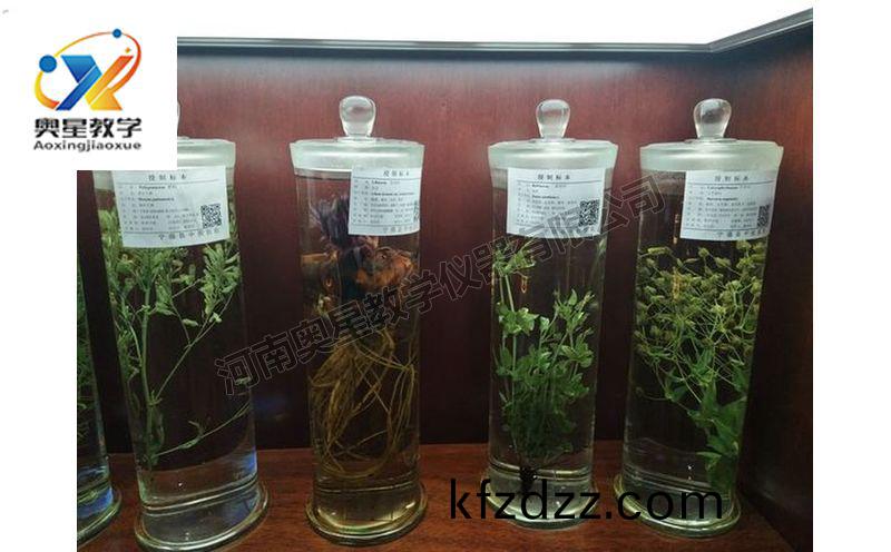 浸(jin)漬標(biao)本