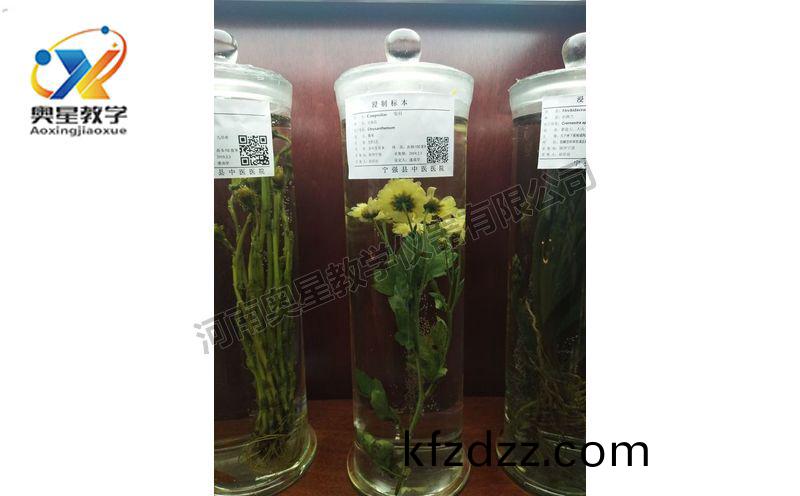 浸(jin)漬(zi)標本(ben)