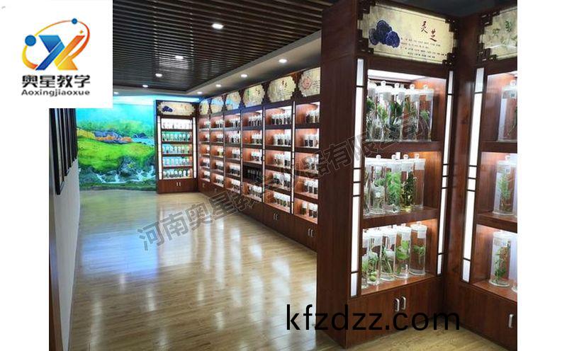 中(zhong)藥(yao)標(biao)本