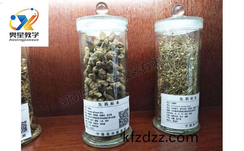 中藥(yao)標本