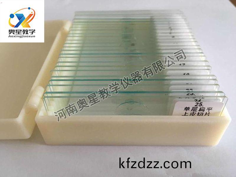 顯(xian)微鏡(jing)配套(tao)