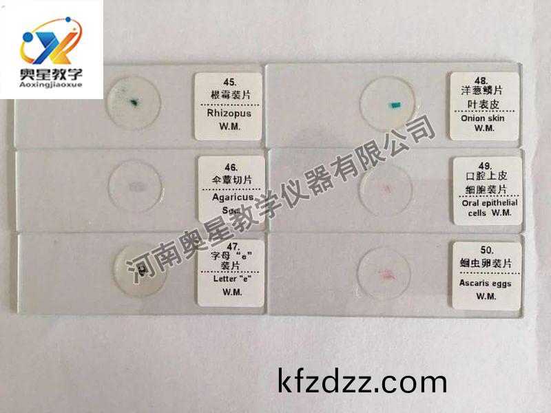 顯(xian)微鏡(jing)配套(tao)