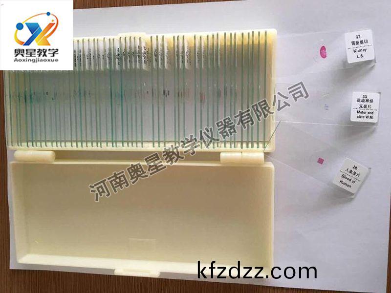 顯(xian)微(wei)鏡(jing)配(pei)套(tao)