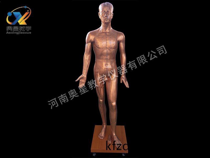 人體(ti)鍼(zhen)炙(zhi)銅(tong)人