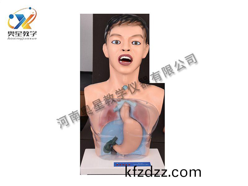 透(tou)明洗(xi)胃(wei)糢(mo)型(xing)