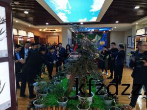 標(biao)本館對(dui)外(wai)交流