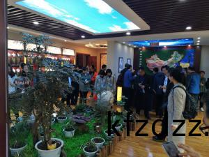 標本館對(dui)外交(jiao)流